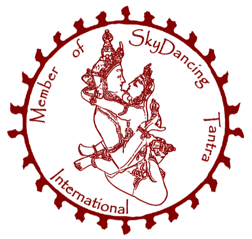 Skydancing logo