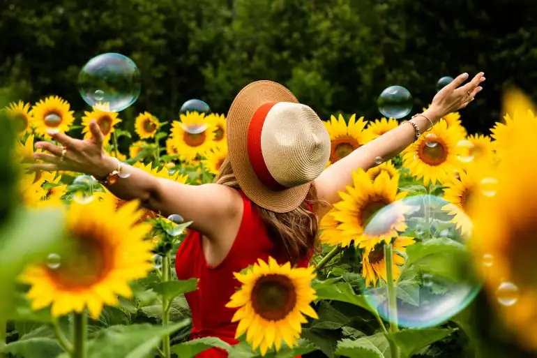 Une femme qui s'émerveille au milieu d'un champ de tournesols.