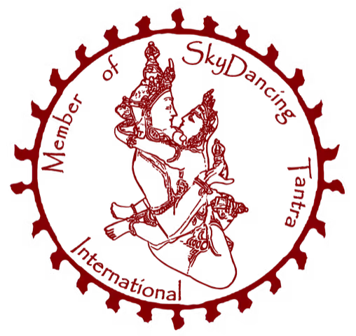 Skydancing logo Skydancing logo